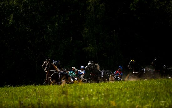 Конный фестиваль #ORLOVFEST