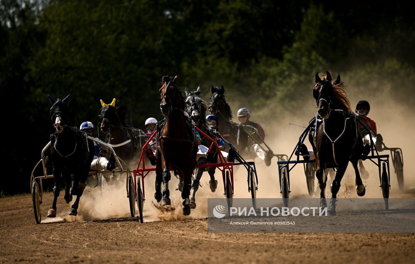 Конный фестиваль #ORLOVFEST