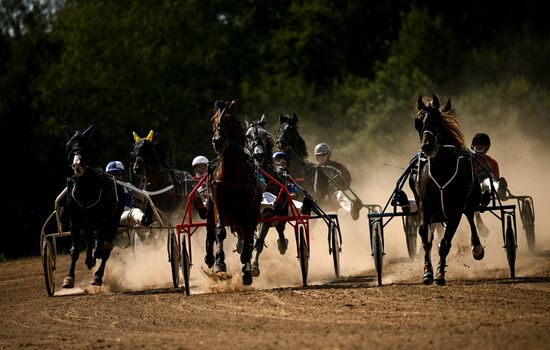 Конный фестиваль #ORLOVFEST