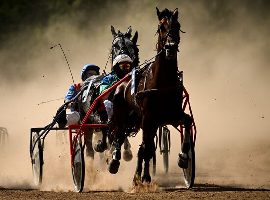 Конный фестиваль #ORLOVFEST