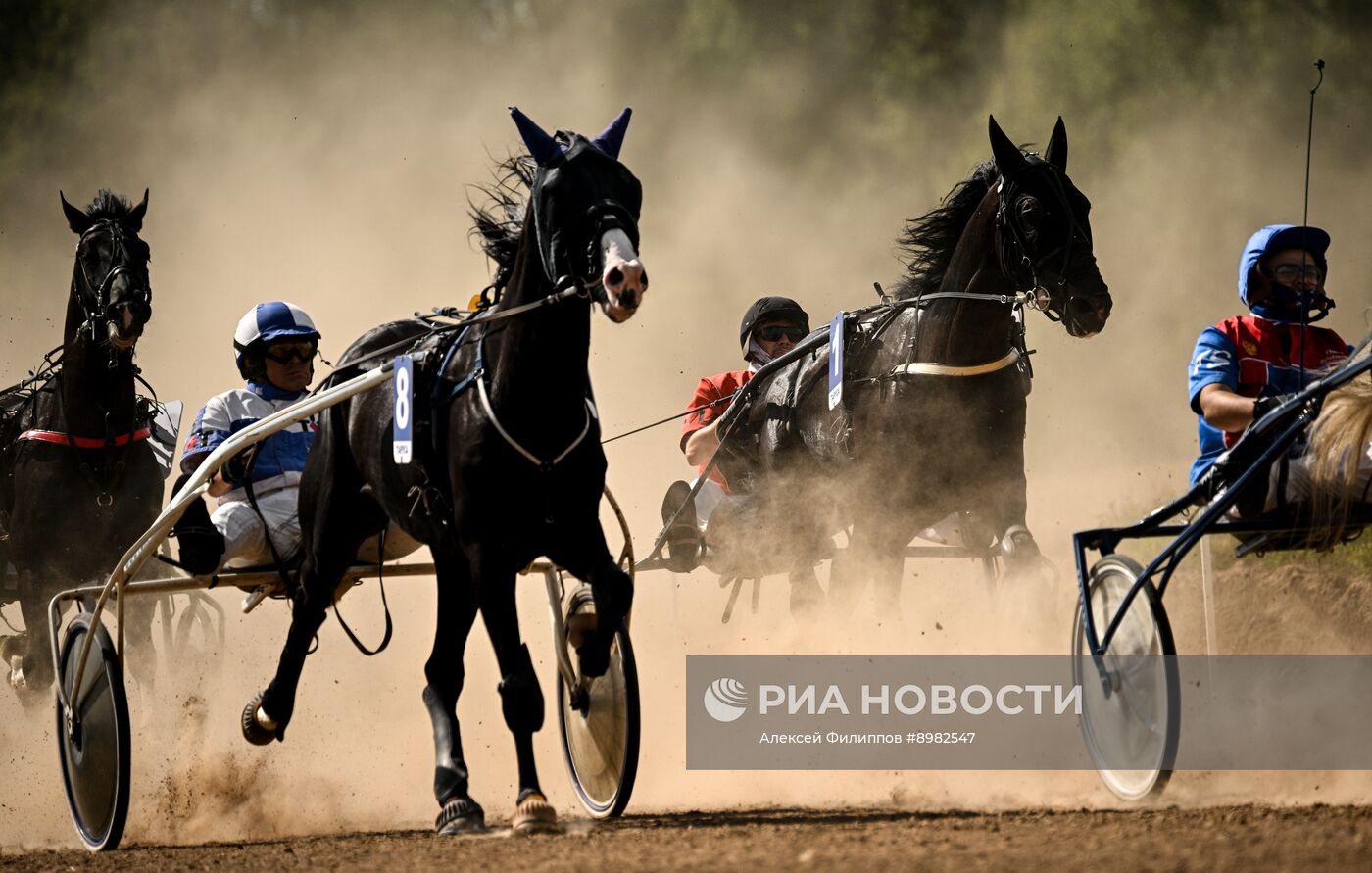 Конный фестиваль #ORLOVFEST
