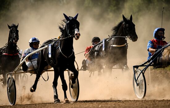 Конный фестиваль #ORLOVFEST