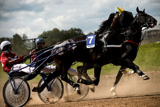 Конный фестиваль #ORLOVFEST