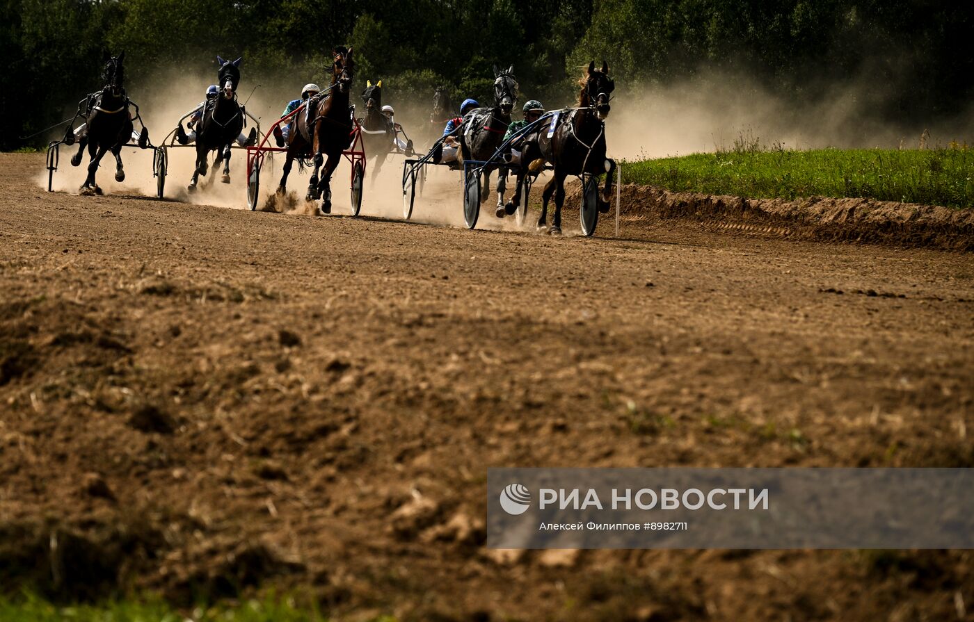 Конный фестиваль #ORLOVFEST