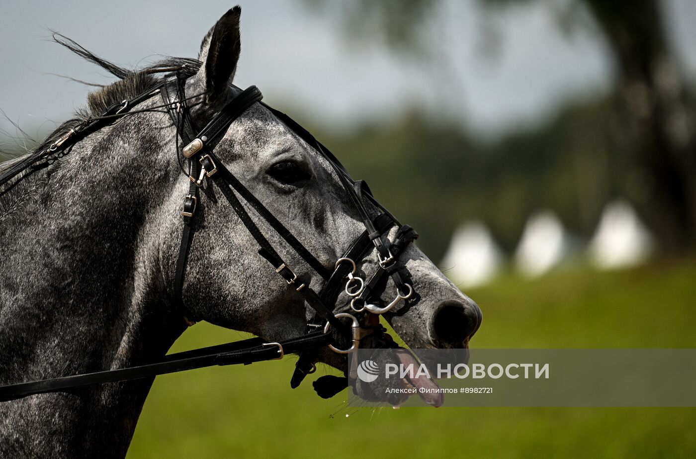 Конный фестиваль #ORLOVFEST