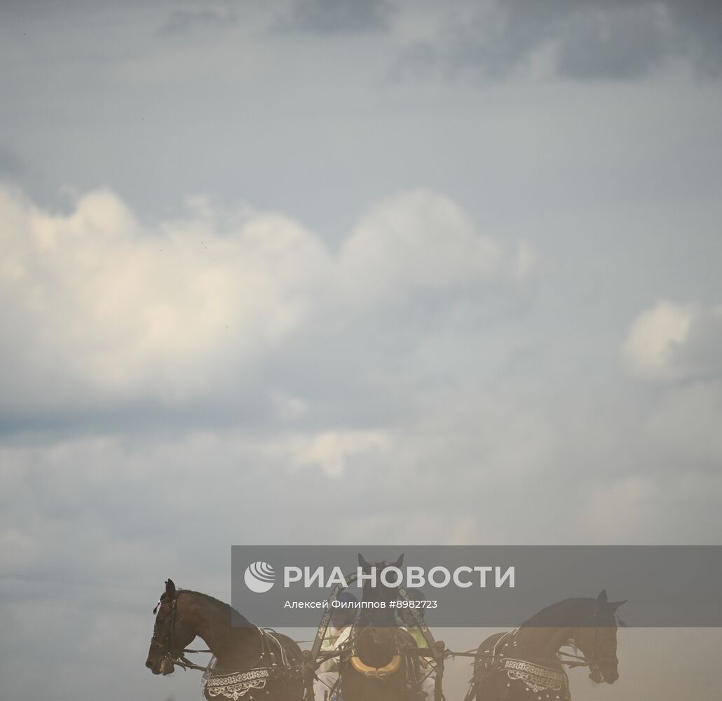 Конный фестиваль #ORLOVFEST