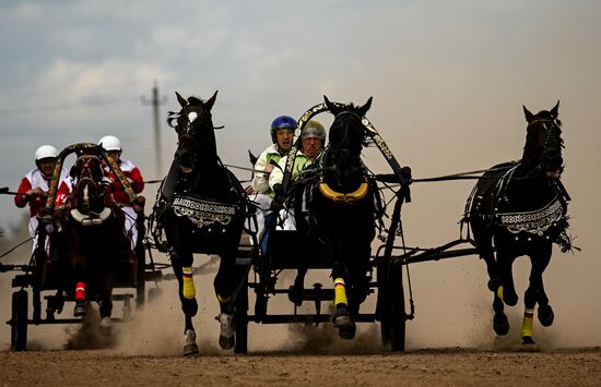 Конный фестиваль #ORLOVFEST