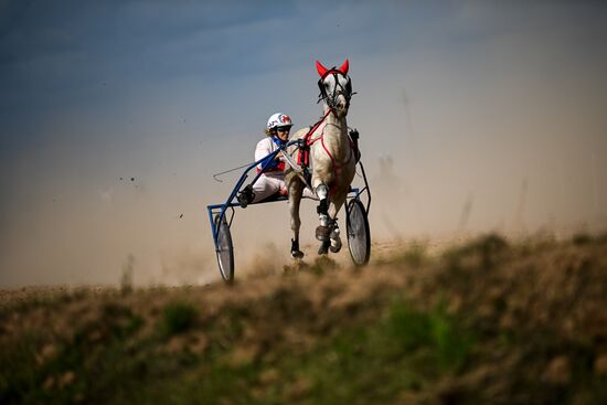 Конный фестиваль #ORLOVFEST