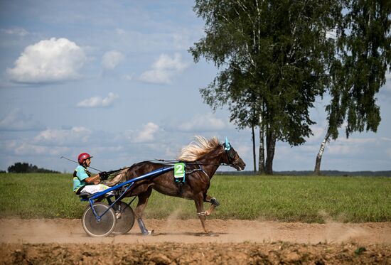 Конный фестиваль #ORLOVFEST