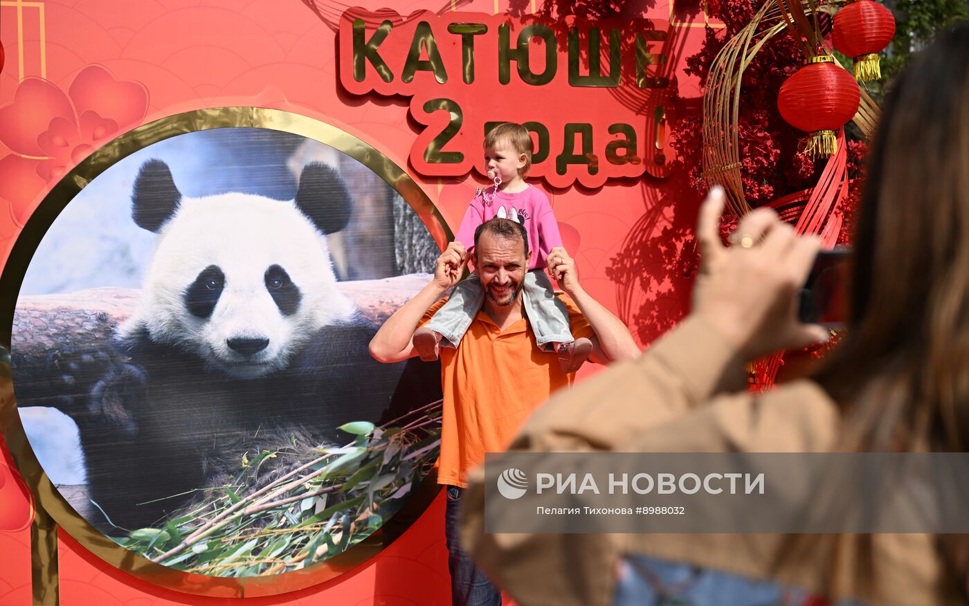 Празднование дня рождения панды Катюши
