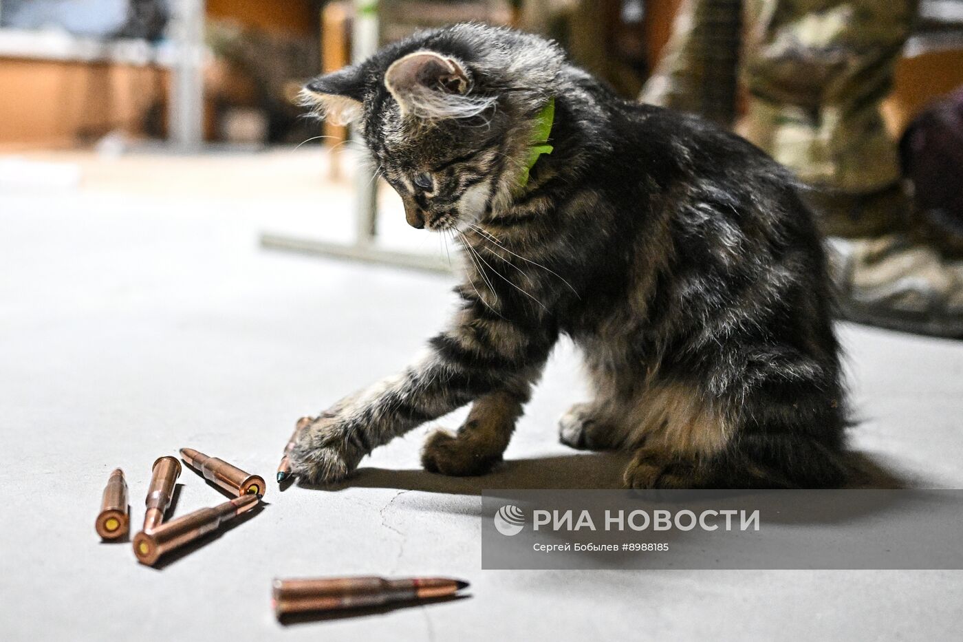 Группа противодействия БПЛА спецназа "Ахмат" МО РФ