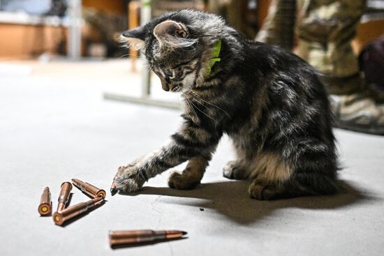 Группа противодействия БПЛА спецназа "Ахмат" МО РФ