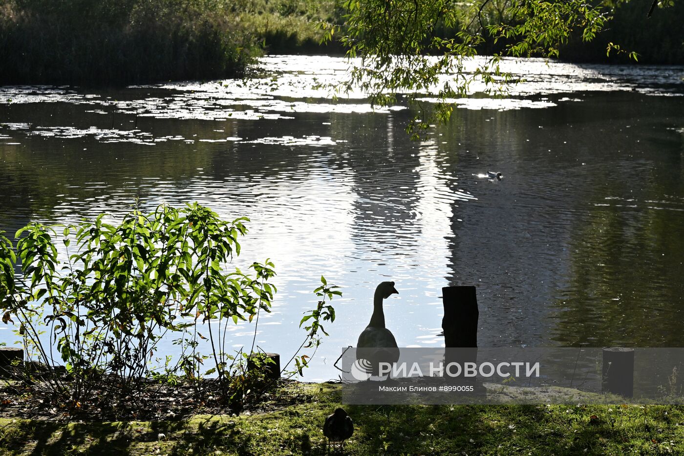 Парк "Яуза" в Москве