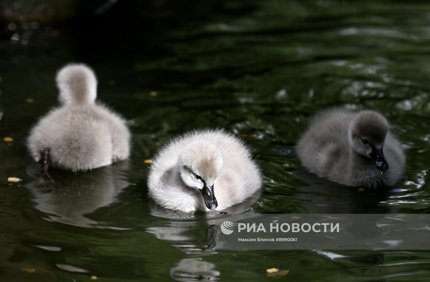 Парк "Яуза" в Москве
