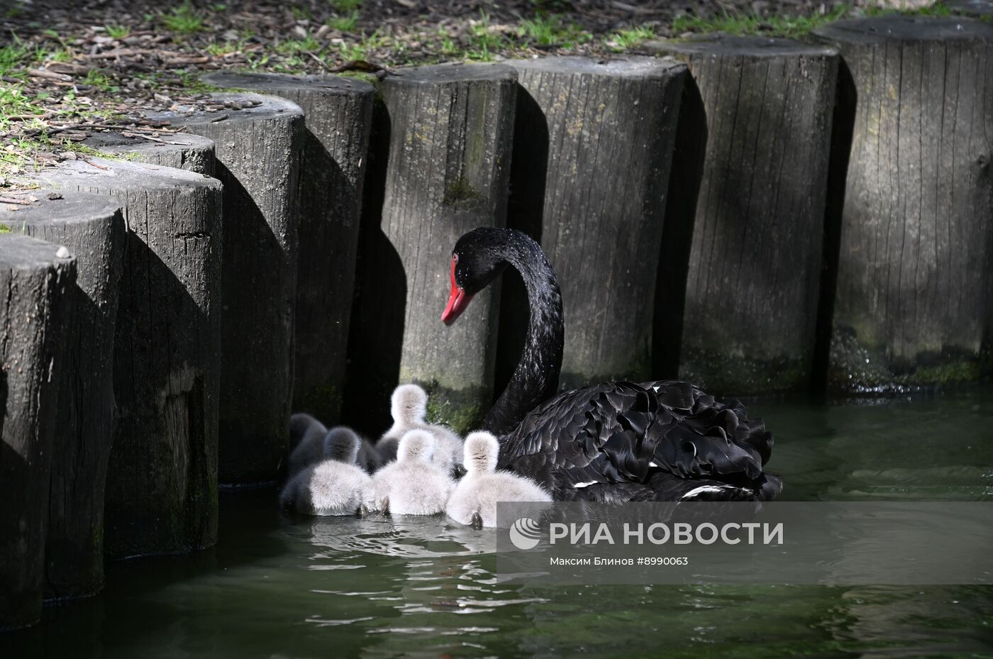 Парк "Яуза" в Москве