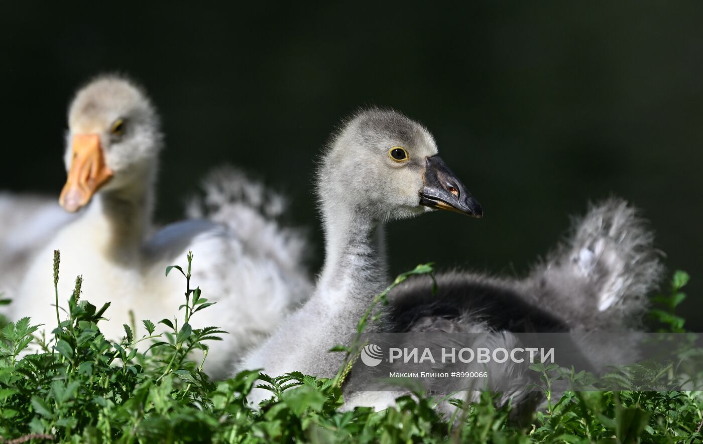 Парк "Яуза" в Москве