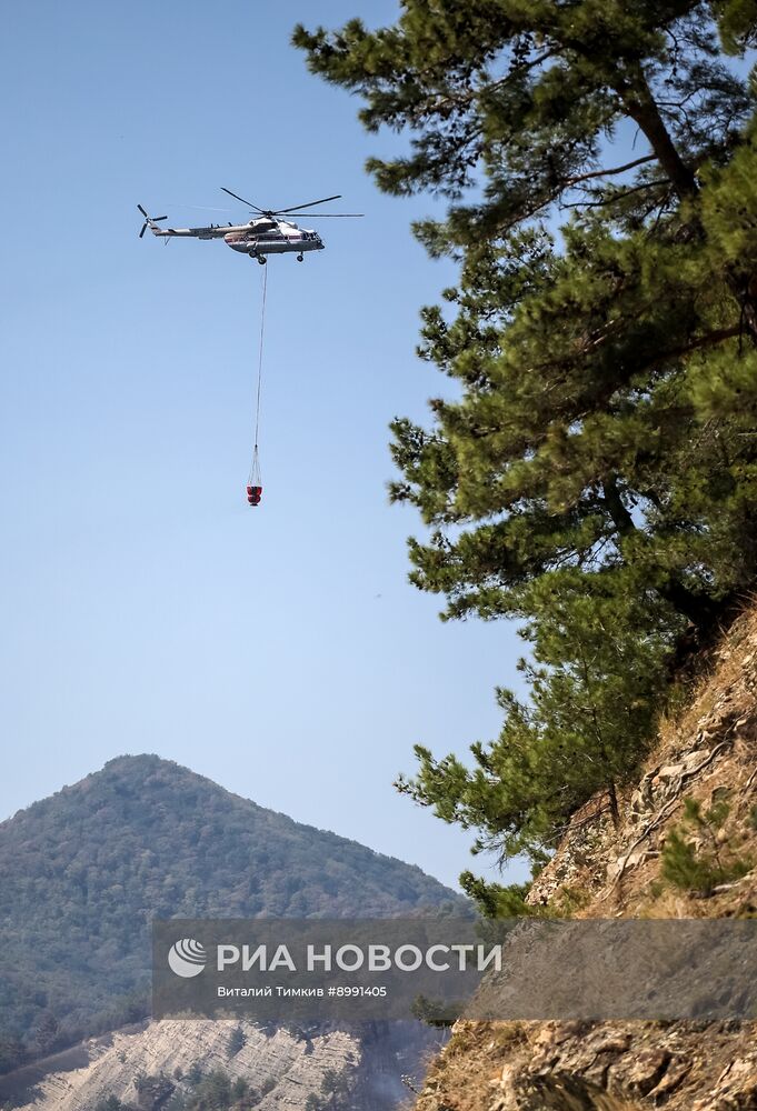 Тушение лесного пожара в Краснодарском крае