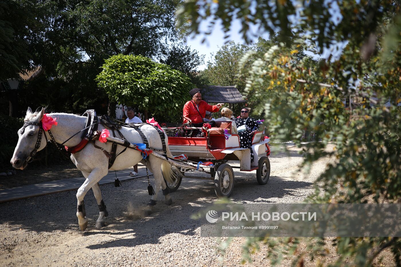 Фестиваль "Сахарный кавун" в Краснодарском крае