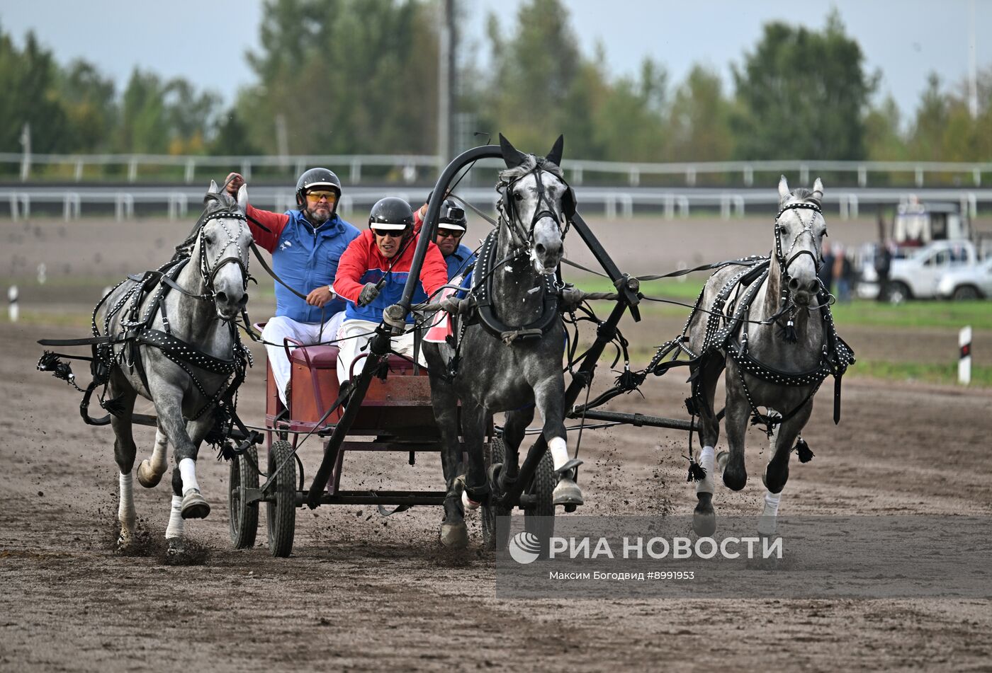 Cкачки на приз президента РФ на Казанском ипподроме