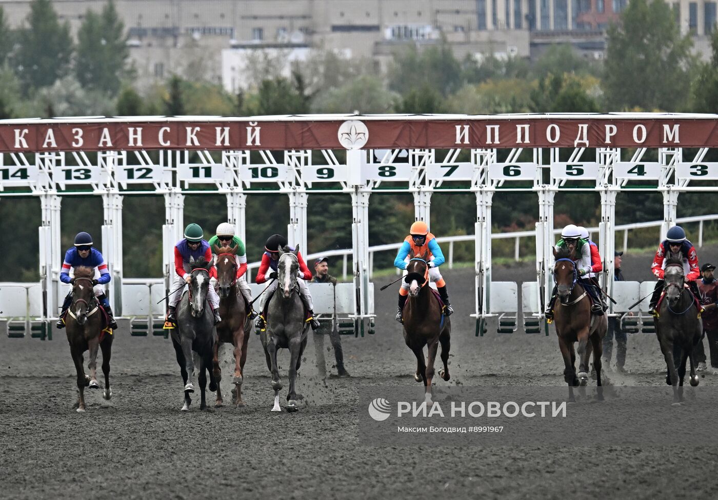 Cкачки на приз президента РФ на Казанском ипподроме