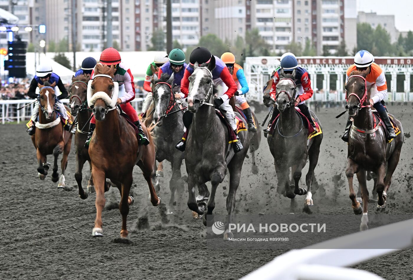 Cкачки на приз президента РФ на Казанском ипподроме