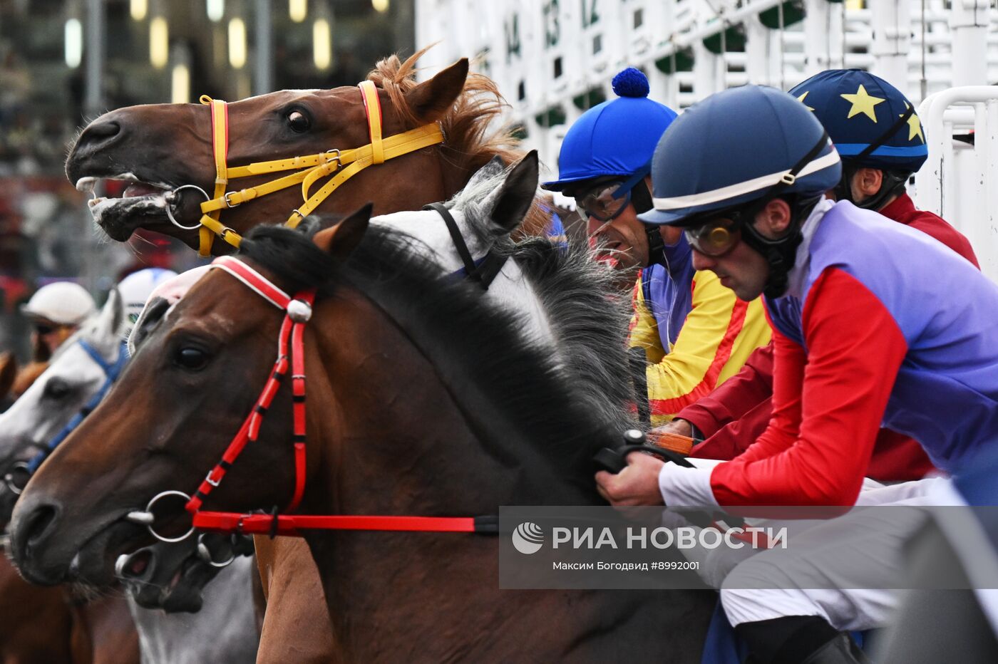 Cкачки на приз президента РФ на Казанском ипподроме