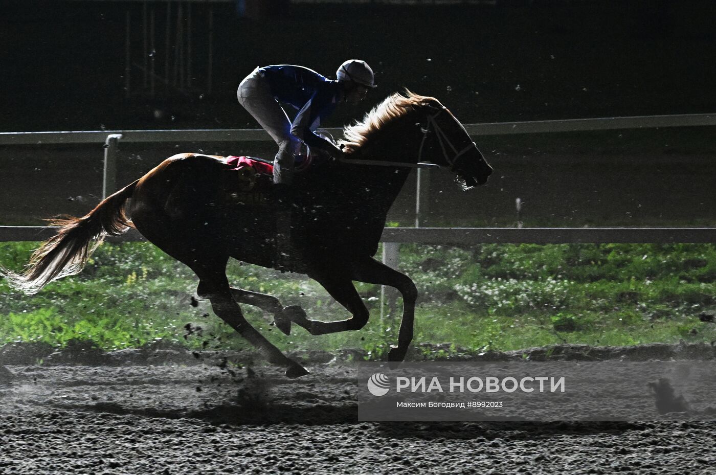 Cкачки на приз президента РФ на Казанском ипподроме