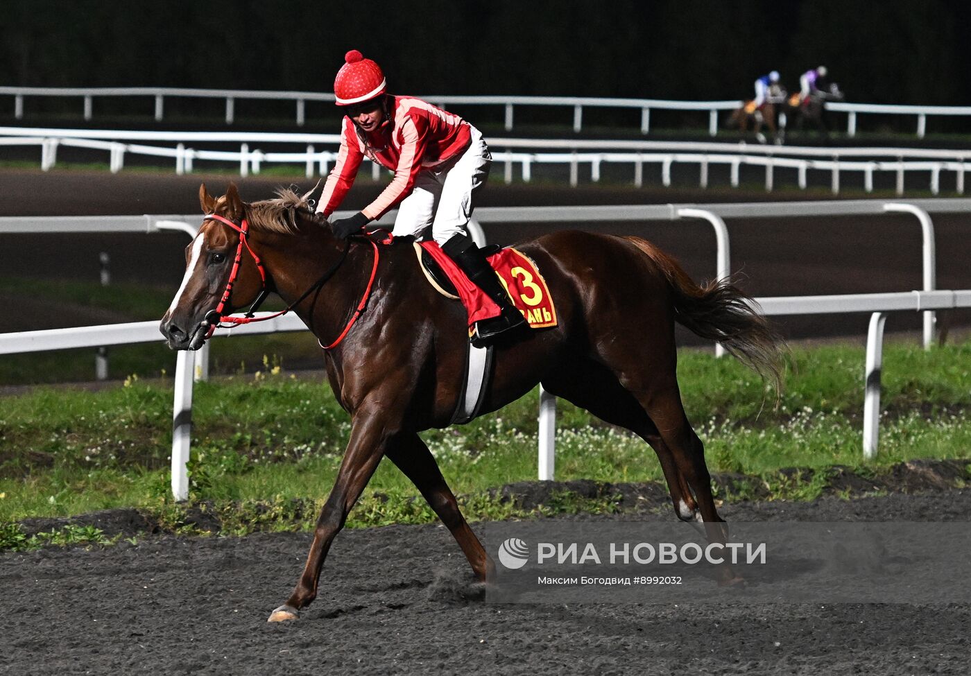 Cкачки на приз президента РФ на Казанском ипподроме