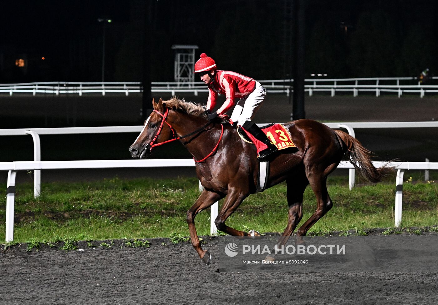 Cкачки на приз президента РФ на Казанском ипподроме