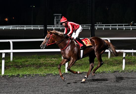 Cкачки на приз президента РФ на Казанском ипподроме