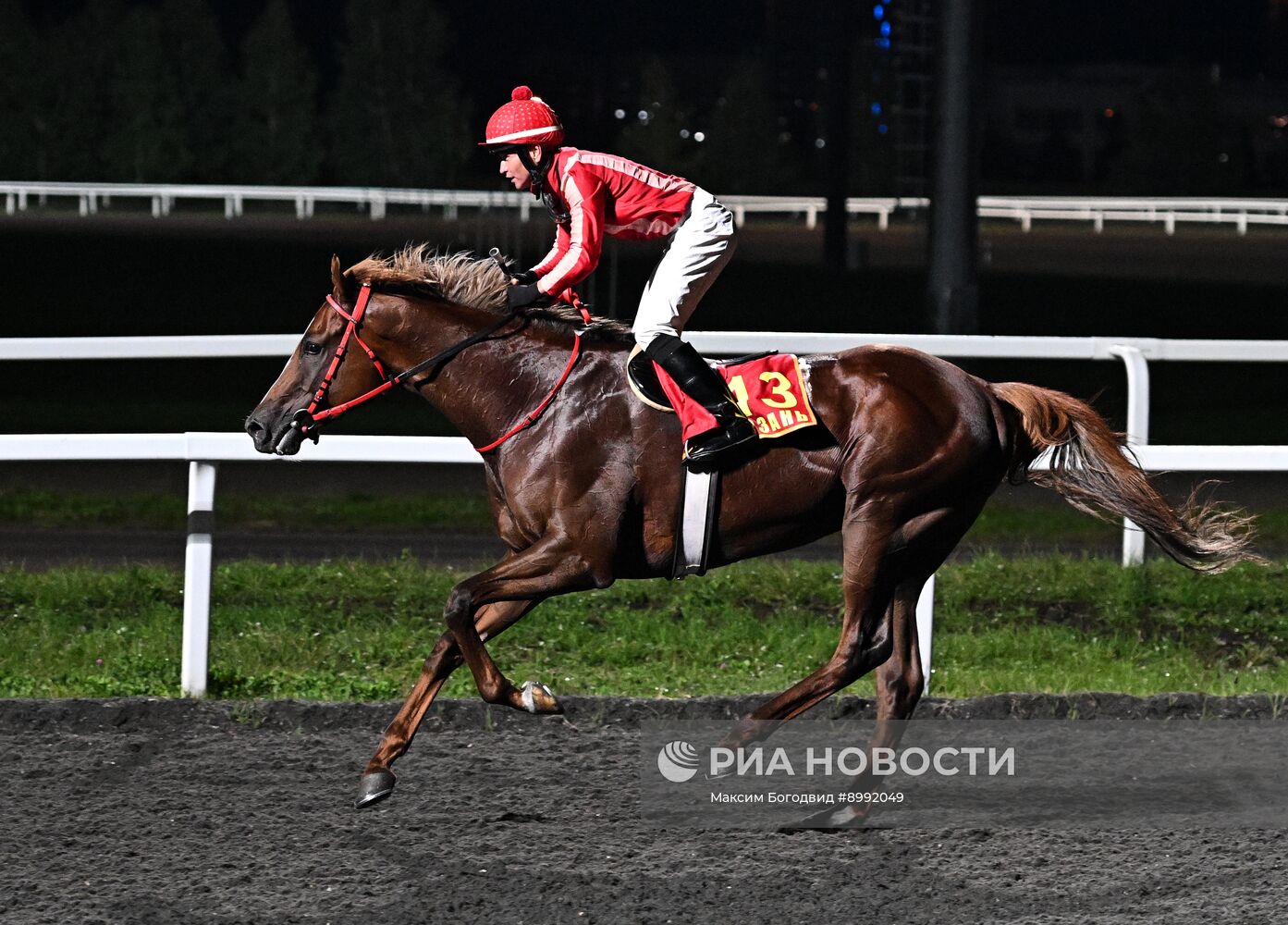 Cкачки на приз президента РФ на Казанском ипподроме