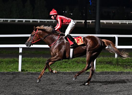 Cкачки на приз президента РФ на Казанском ипподроме