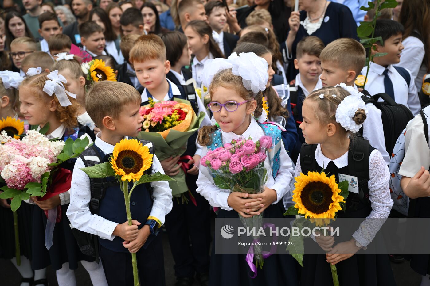 День знаний