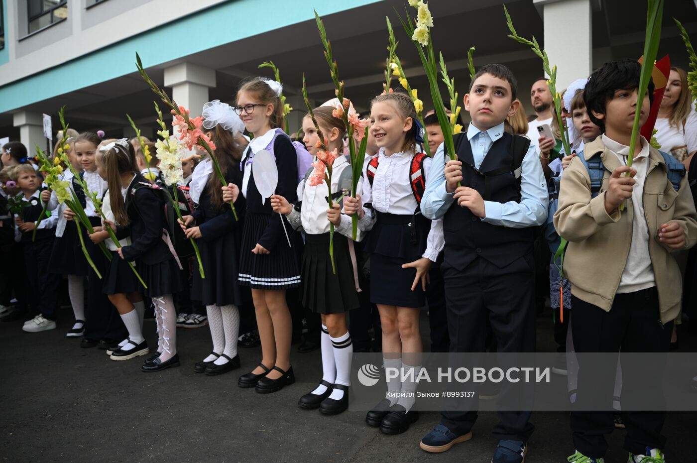 День знаний