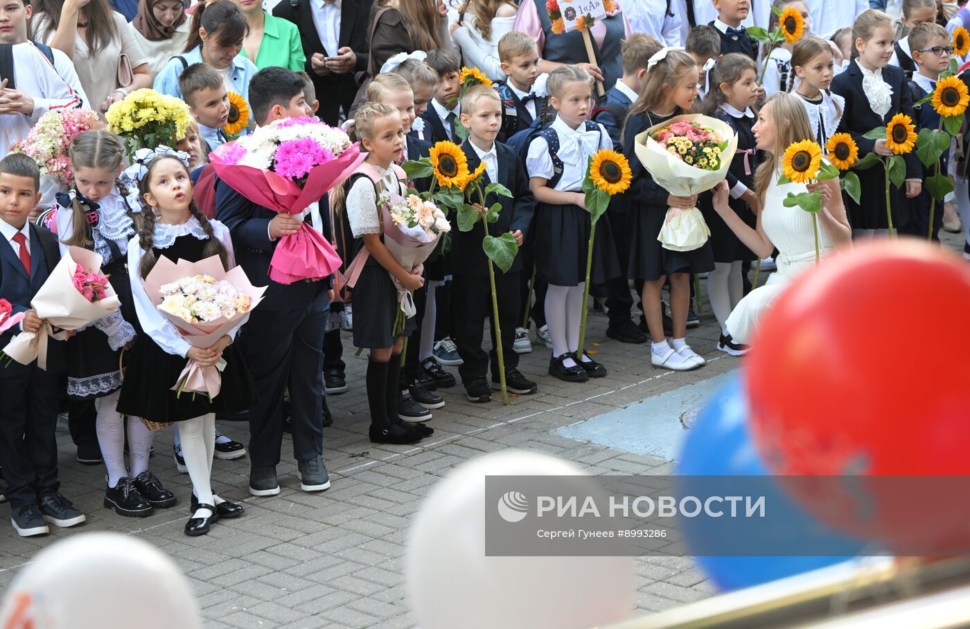 День знаний