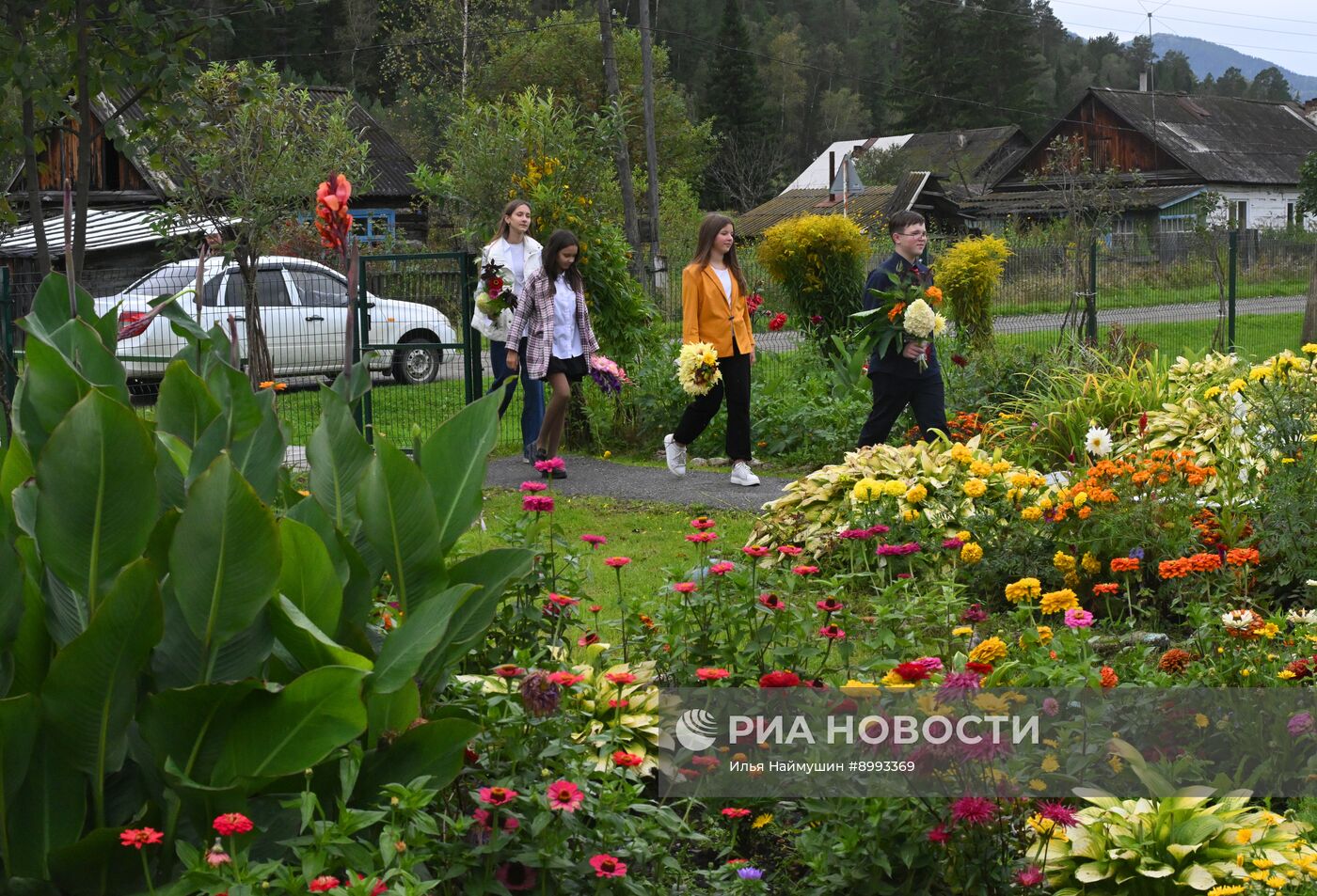 День знаний