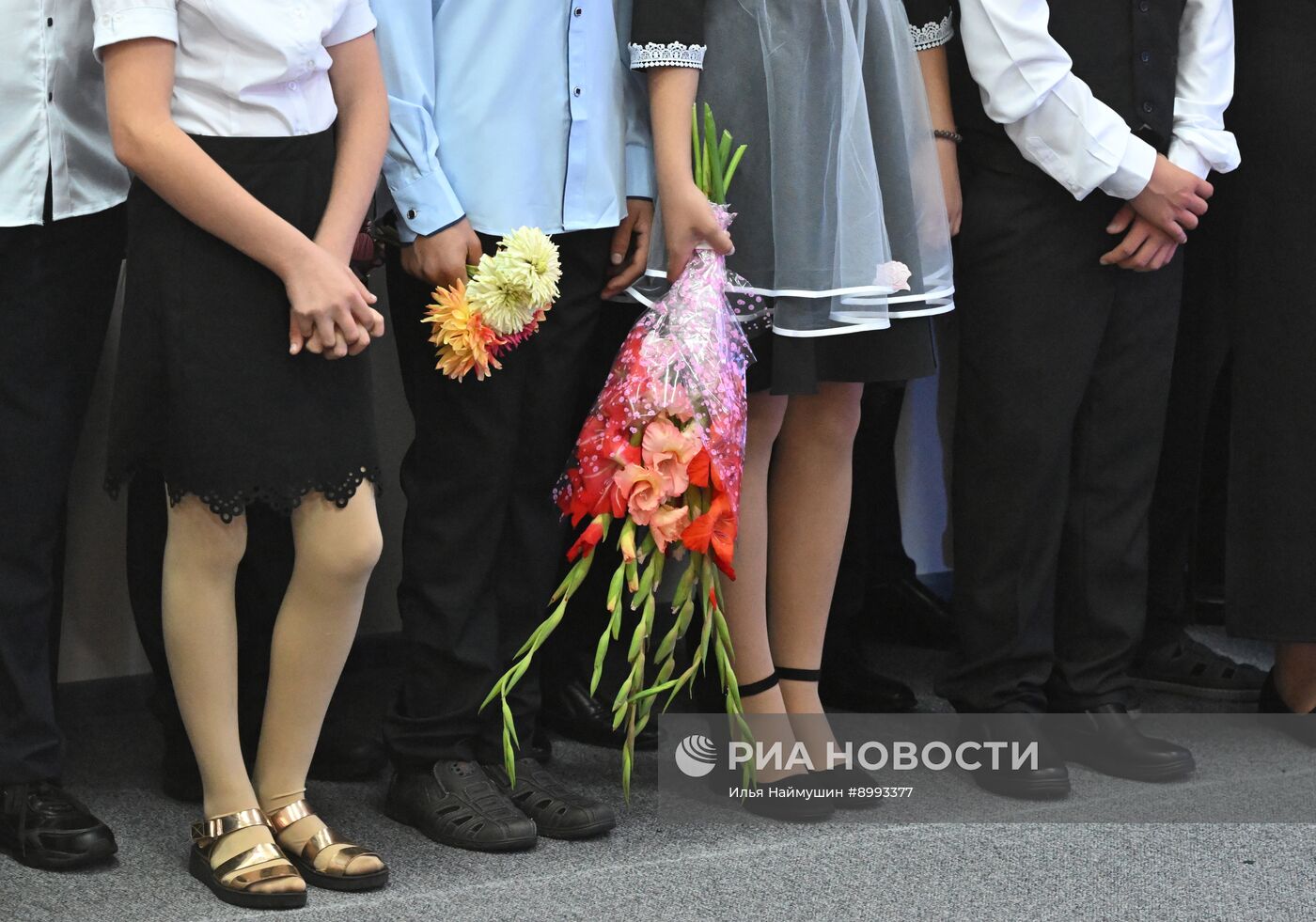 День знаний