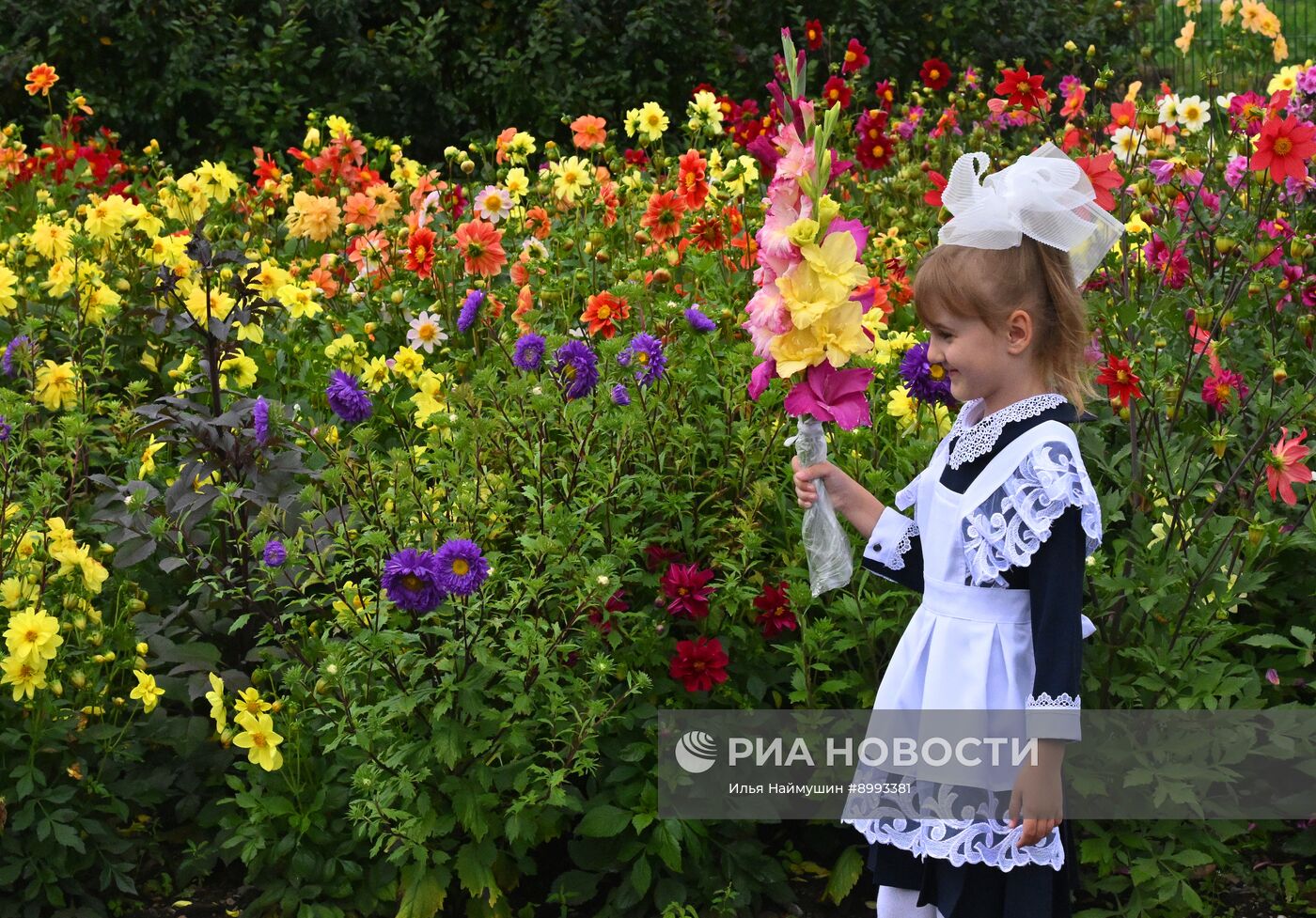 День знаний