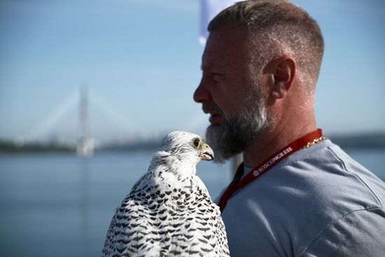 ВЭФ-2025. Официальное открытие павильона "Дом сокола"