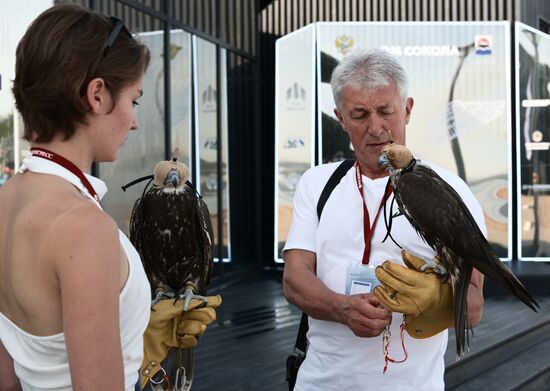 ВЭФ-2025. Официальное открытие павильона "Дом сокола"
