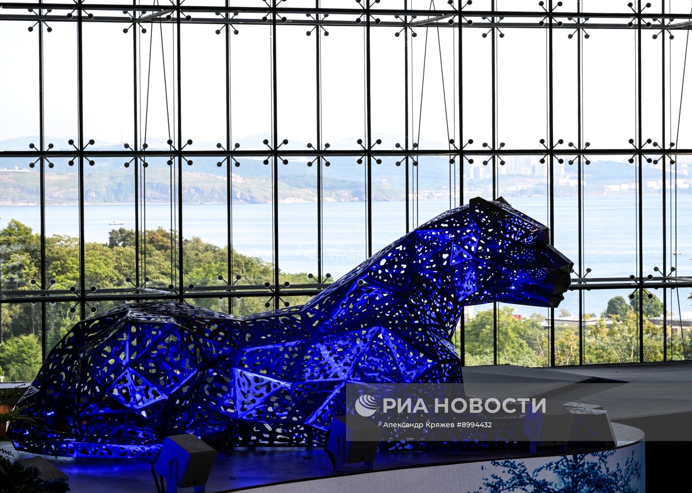 ВЭФ-2025. Работа форума