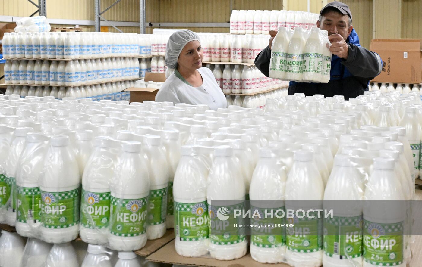 Производство кисломолочных продуктов в Красноярском крае