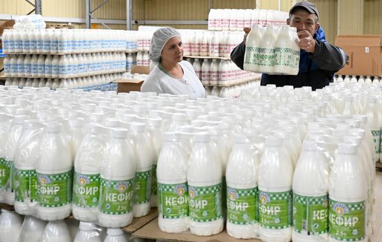 Производство кисломолочных продуктов в Красноярском крае