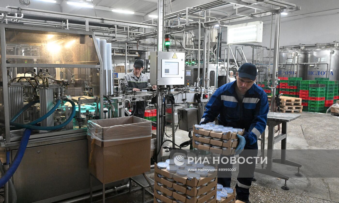 Производство кисломолочных продуктов в Красноярском крае