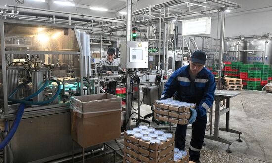 Производство кисломолочных продуктов в Красноярском крае