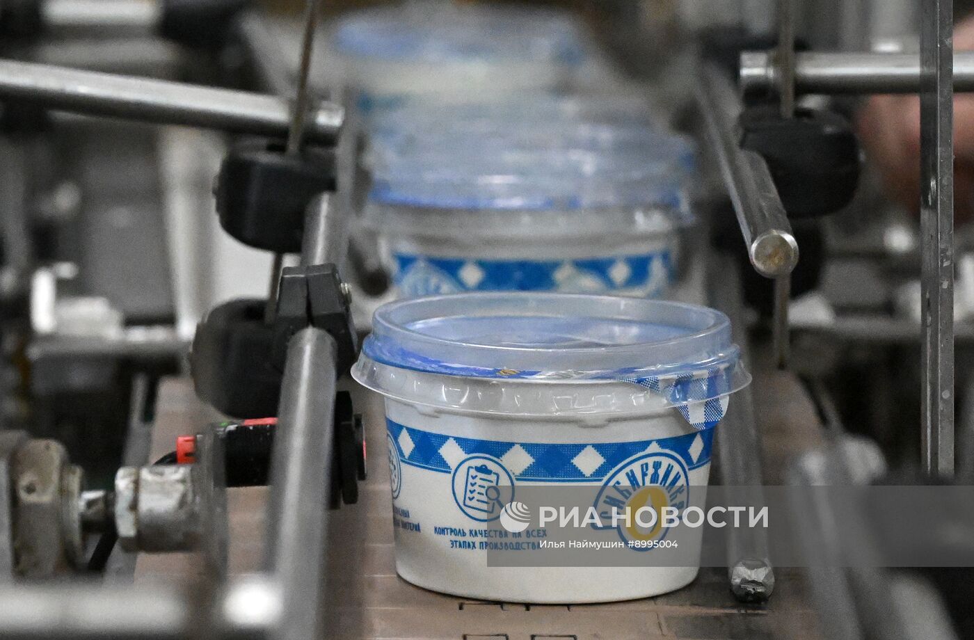 Производство кисломолочных продуктов в Красноярском крае