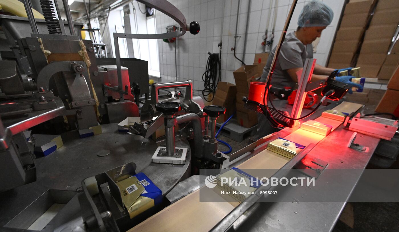 Производство кисломолочных продуктов в Красноярском крае