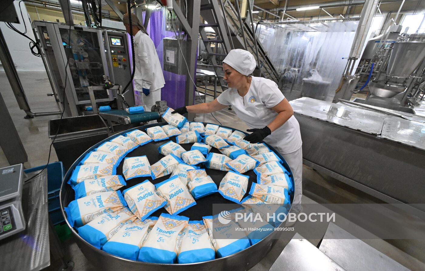 Производство кисломолочных продуктов в Красноярском крае