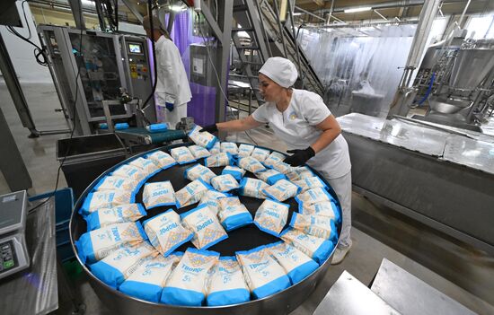 Производство кисломолочных продуктов в Красноярском крае