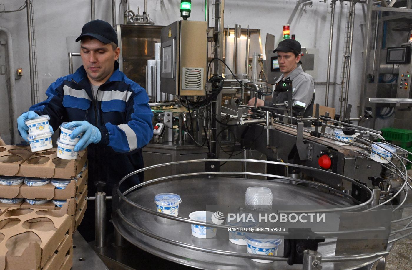 Производство кисломолочных продуктов в Красноярском крае